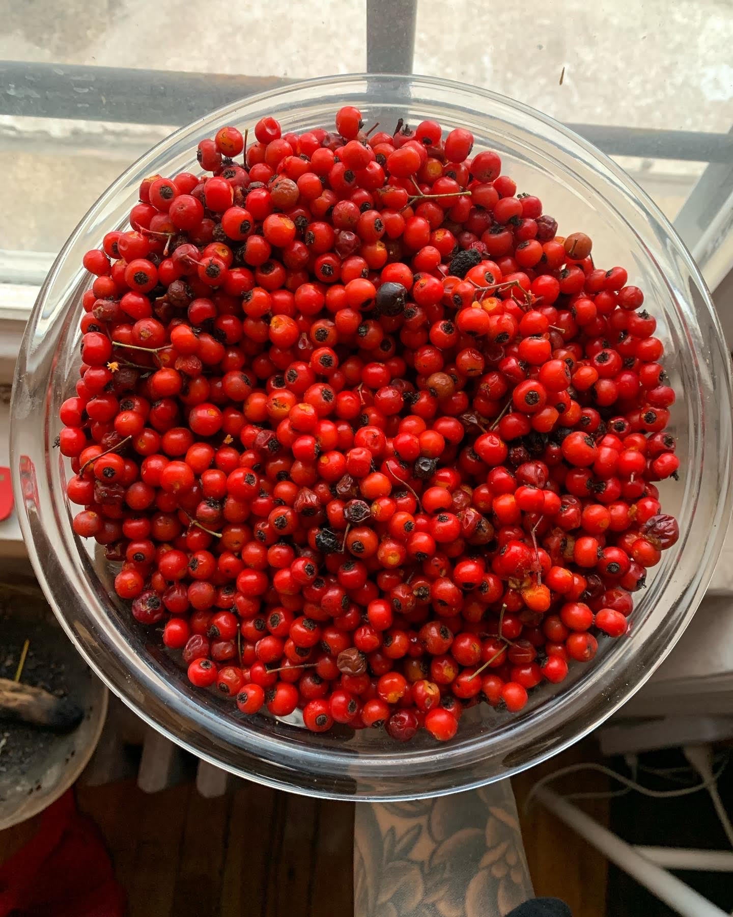 Hawthorn Berry Cordial